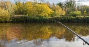 Best Barbel Rods - Featured Image